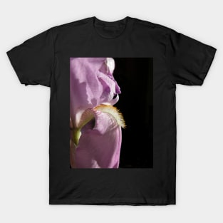 Royal purple iris T-Shirt